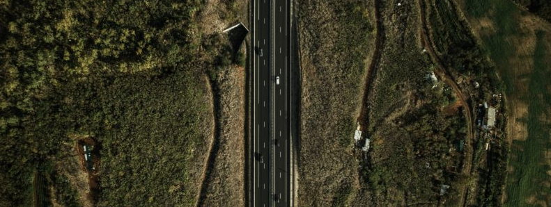 L'autonomie alimentaire à La Réunion : constat et risques (GRATUIT)