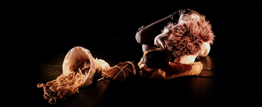 DANSE / CIE ANIMALIS'BA / COMME AUCUN NID N'ENTOURE SON OISEAU