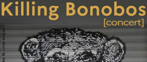 PUNK ROCK / KILLING BONOBOS