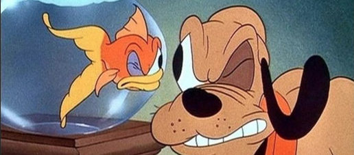 PUNK ROCK / TUTKATUKAS + PLUTO CREVÉ + DJ SLIP