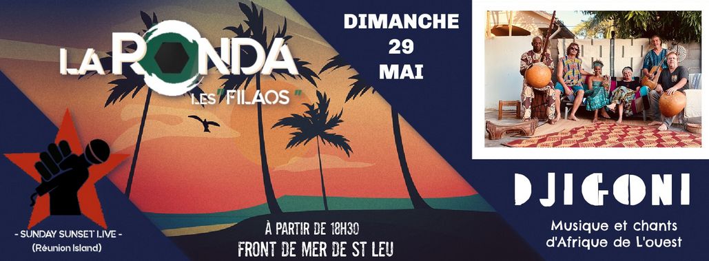 MUSIQUES AFRICAINES / DJIGONI