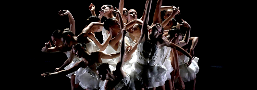 BALLET PRELJOCAJ / LE LAC DES CYGNES