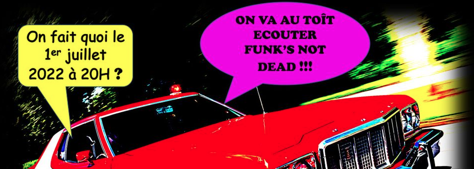 FUNK GROOVE / FUNK'S NOT DEAD