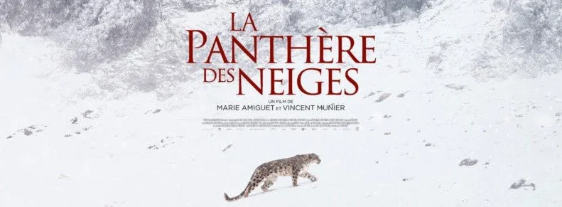 DOCUMENTAIRE / LA PANTHèRE DES NEIGES