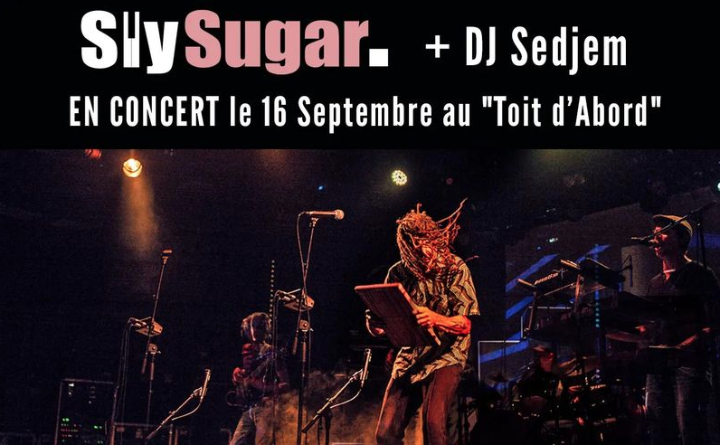 REGGAE DUB / SLY SUGAR