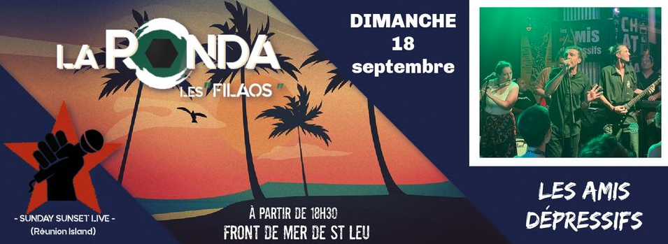 chanson française / les amis dépressifs