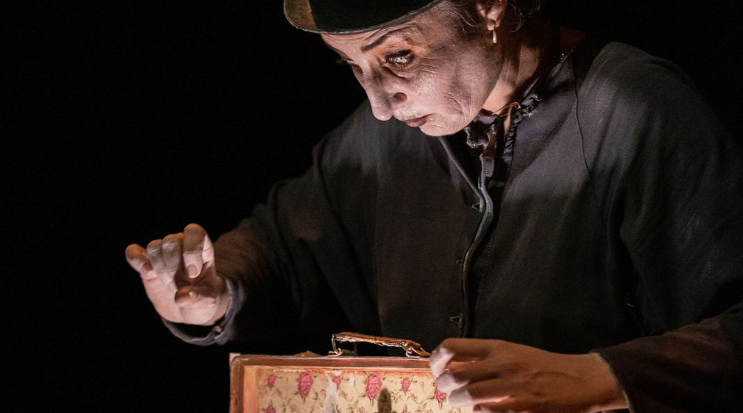 CIE LA PATA NEGRA - ISABELLE MARTINEZ / QUI SAIT CE QUE VOIT L'AUTRUCHE DANS LE SABLE