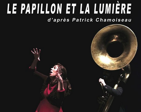 LE PAPILLON ET LA LUMIÈRE