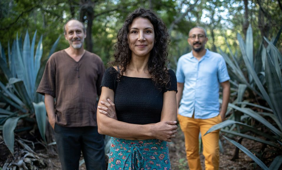 JAZZ / LISE VAN DOOREN TRIO