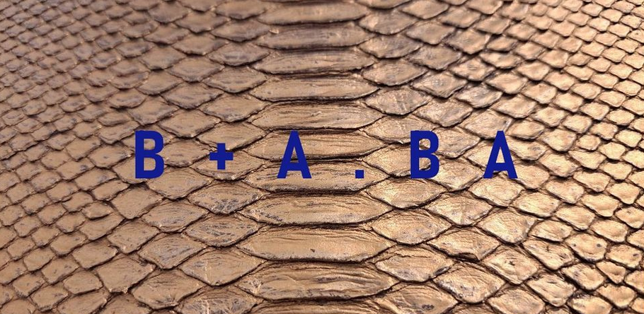 exposition collective / B+A.BA ///1