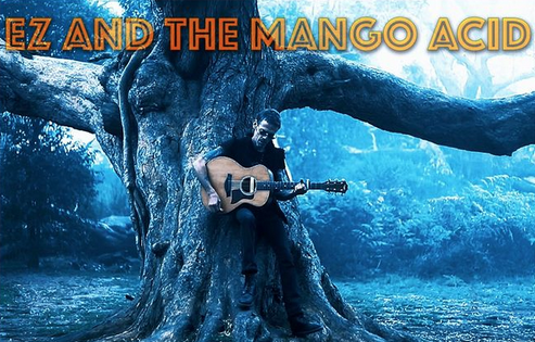 ROCK FOLK PSYCHÉDÉLIQUE / ez and the mango acid