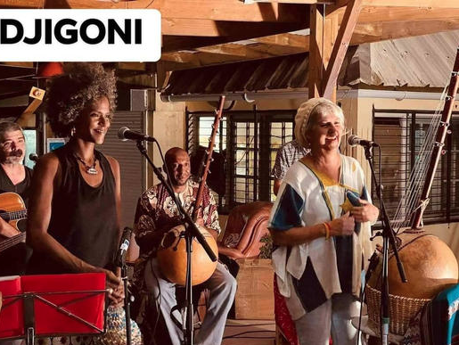 MUSIQUES AFRICAINES / DJIGONI