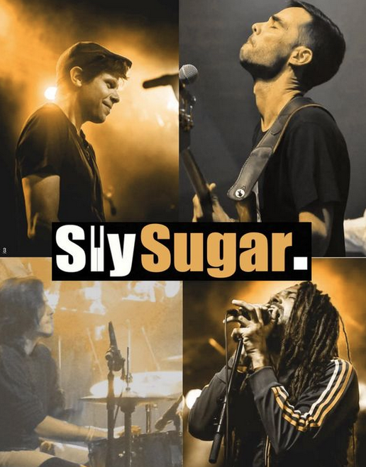 REGGAE DUB / SLY SUGAR