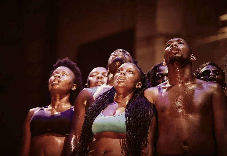 cie converGe + / vagabundus