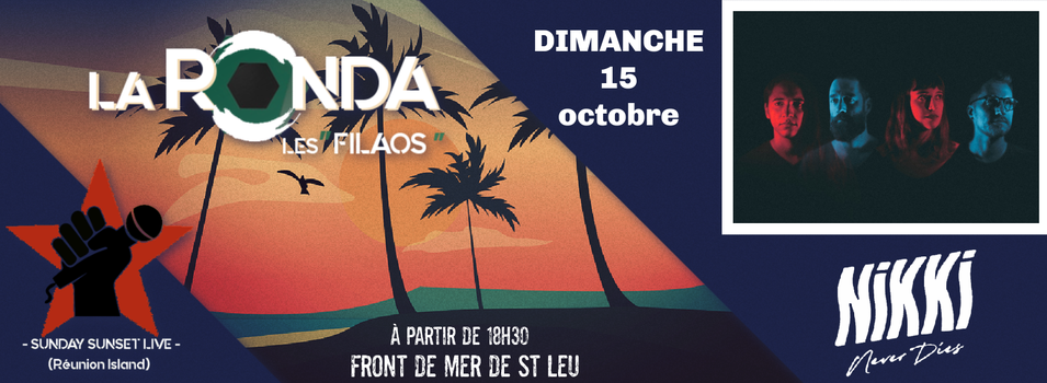 ELECTRO ROCK / NIKKI NEVER DIES