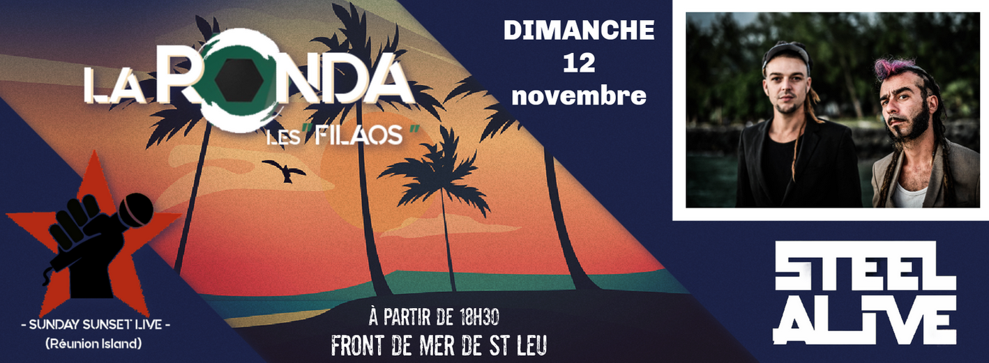 ELECTRO DUB / STEEL ALIVE