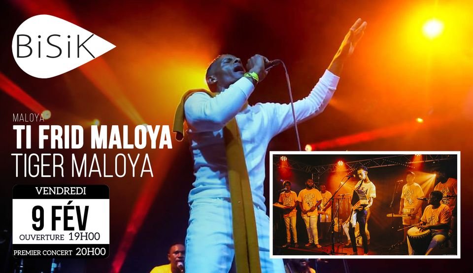 MALOYA / TRIFRID MALOYA & TIGER MALOYA