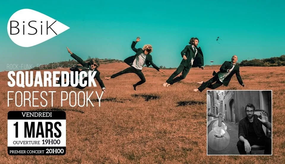 FOLK + DISCO-FUNK ELECTRO / FOREST POOKY + SQUAREDUCK