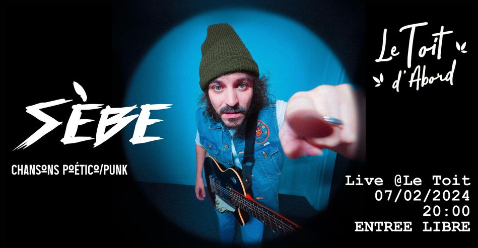 CHANSONS POÉTICO-PUNK / SÈBE