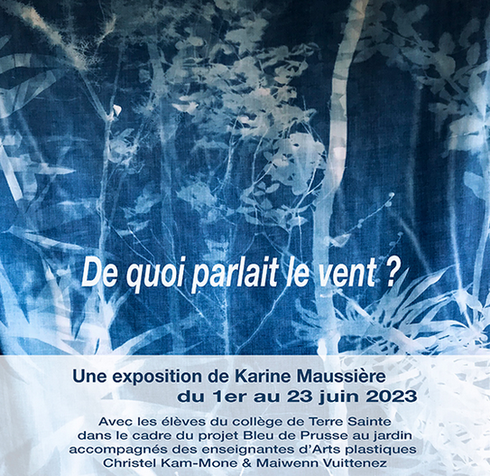 KARINE MAUSSIÈRE / DE QUOI PARLAIT LE VENT?