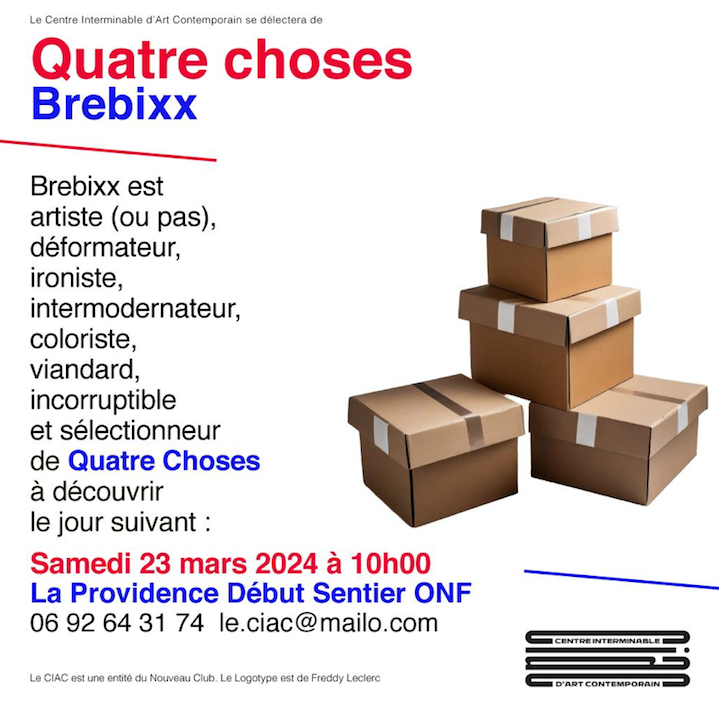 QUATRE CHOSES / RENCONTRE AVEC BREBIXX