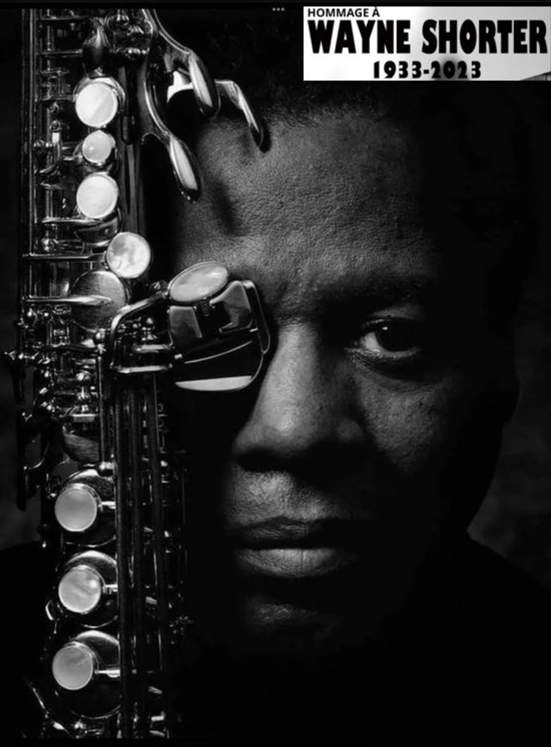 JAZZ / TO WAYNE IN LOVE (GRATUIT)