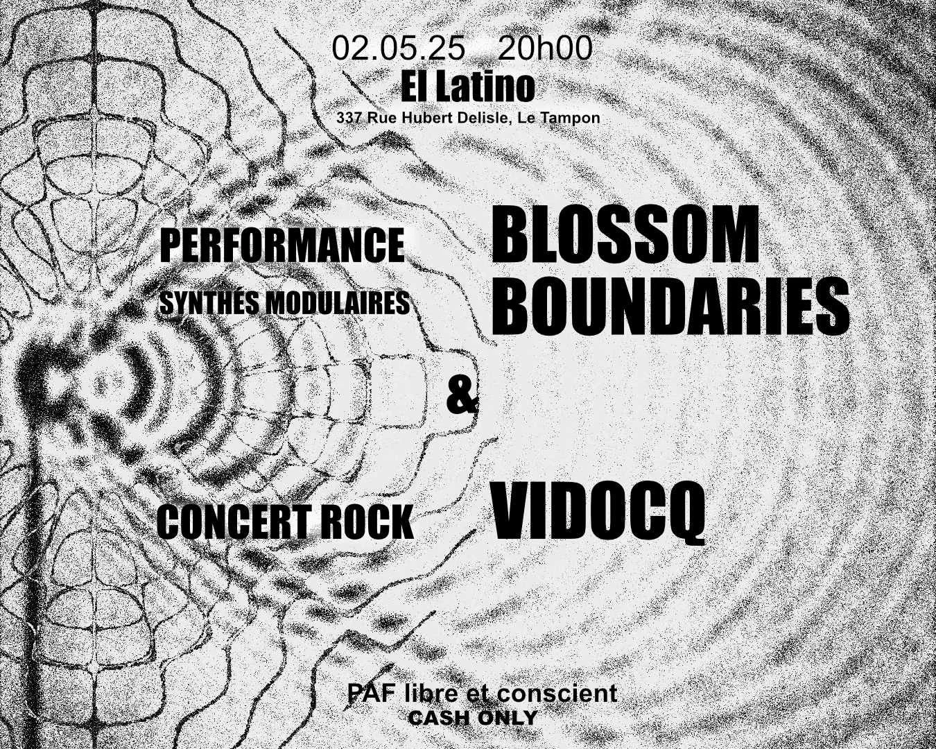 ELECTRO + ROCK INDIE / BLOSSOM BOUNDARIES + VIDOCQ (PRIX LIBRE ET CONSCIENT)