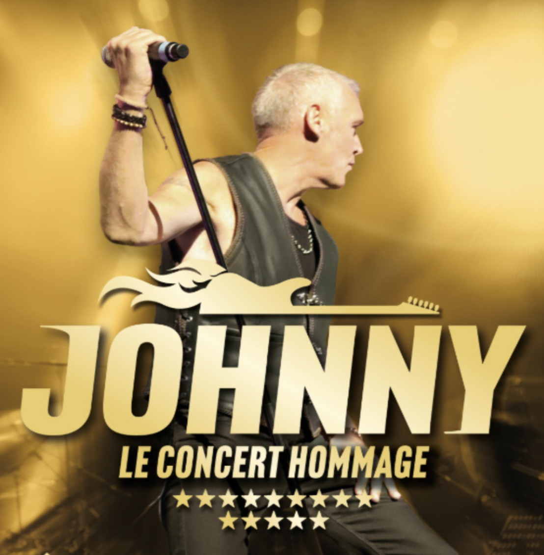 JOHNNY - LE CONCERT HOMMAGE (25-28€)