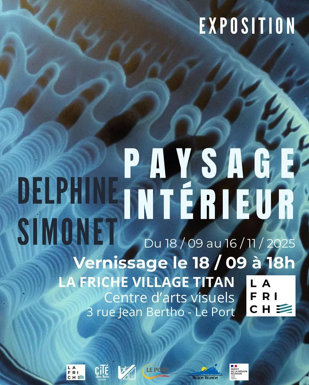 VERNISSAGE / DELPHINE SIMONET / PAYSAGE INTÉRIEUR