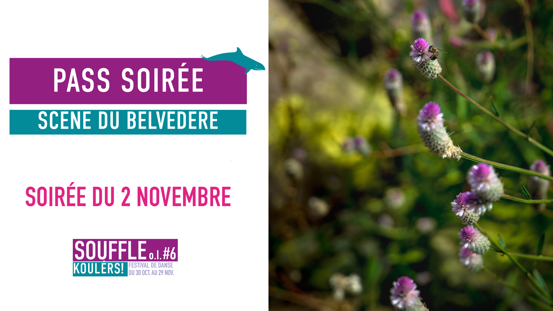 FESTIVAL SOUFFLE O.I. #6 / RAYHAS + SUTRA + LIBRE SANS TOI -T (5-8-12-18-25€)