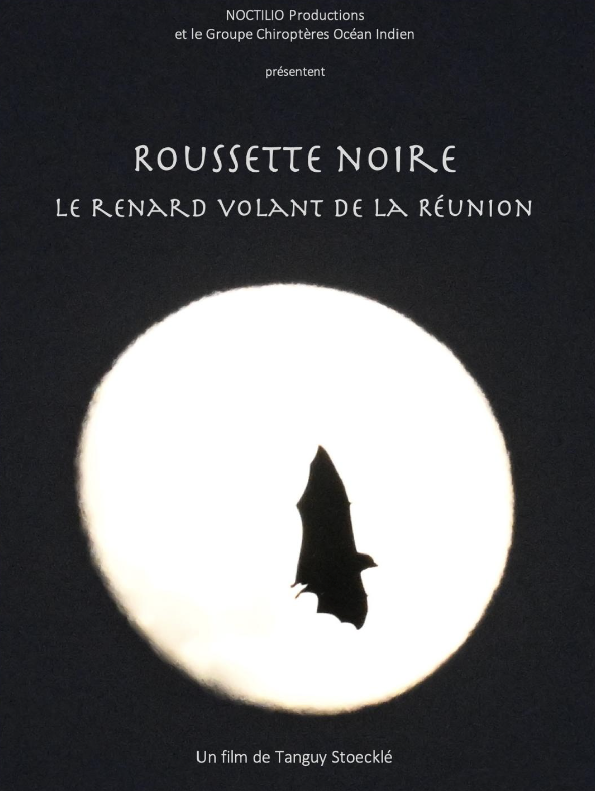 DOCUMENTAIRE / ROUSSETTE NOIRE, LE RENARD VOLANT DE LA RÉUNION (GRATUIT)