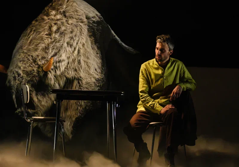 CIE M.A.P.S. / FILS DE BÂTARD (10-16-20€)