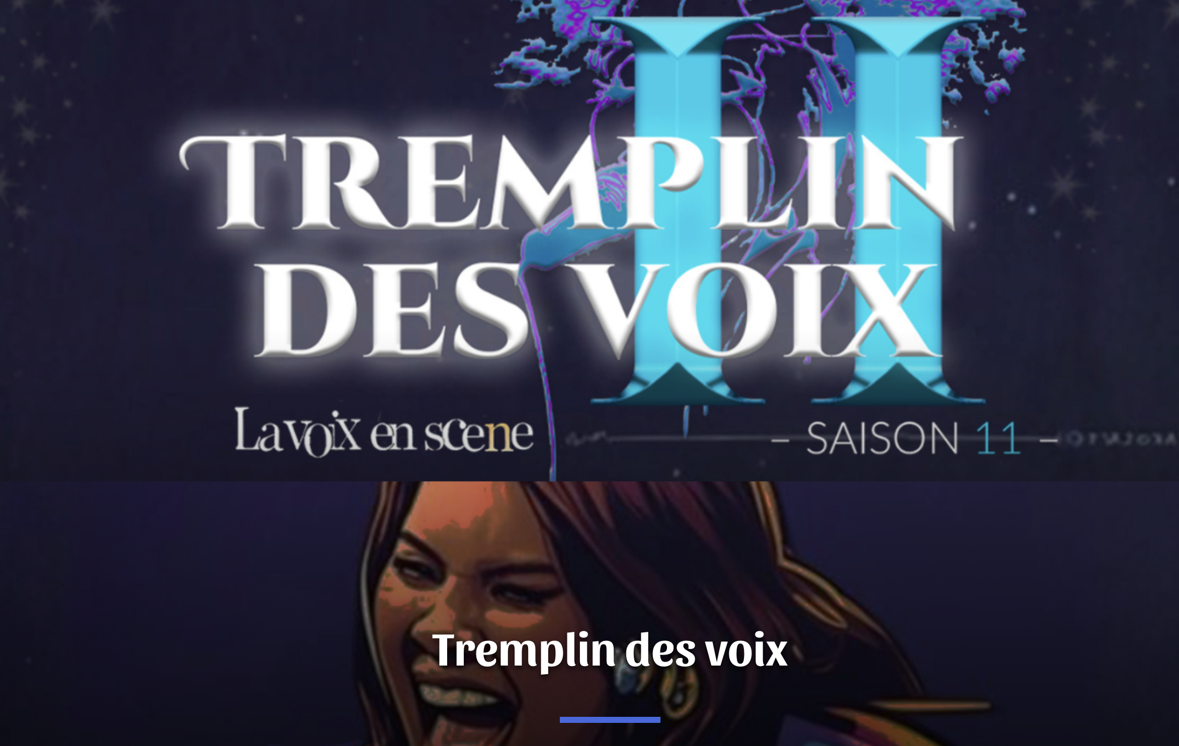 TREMPLIN DES VOIX #11 (14€)