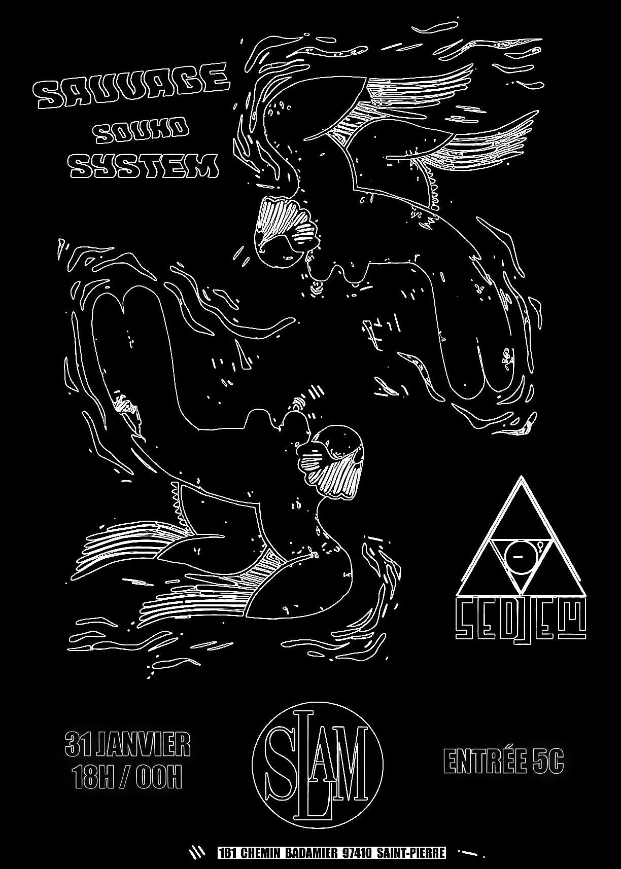 BAL AFRO CRÉOLE / SAUVAGE SOUND SYSTEM + SEDJEM (5€)