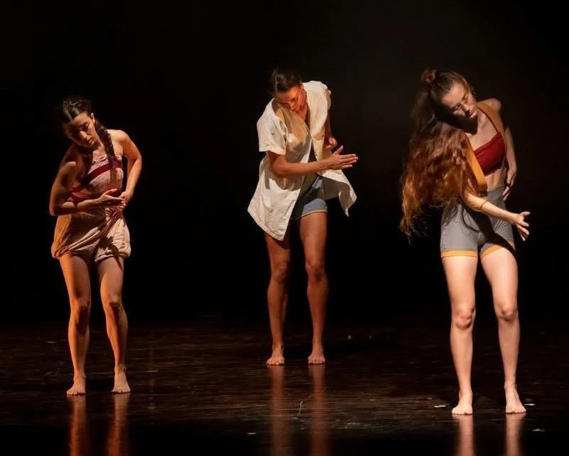 CIE VÉRONIQUE ASENCIO / SAMIR... LA VIE EST BELLE (12-14-17€)