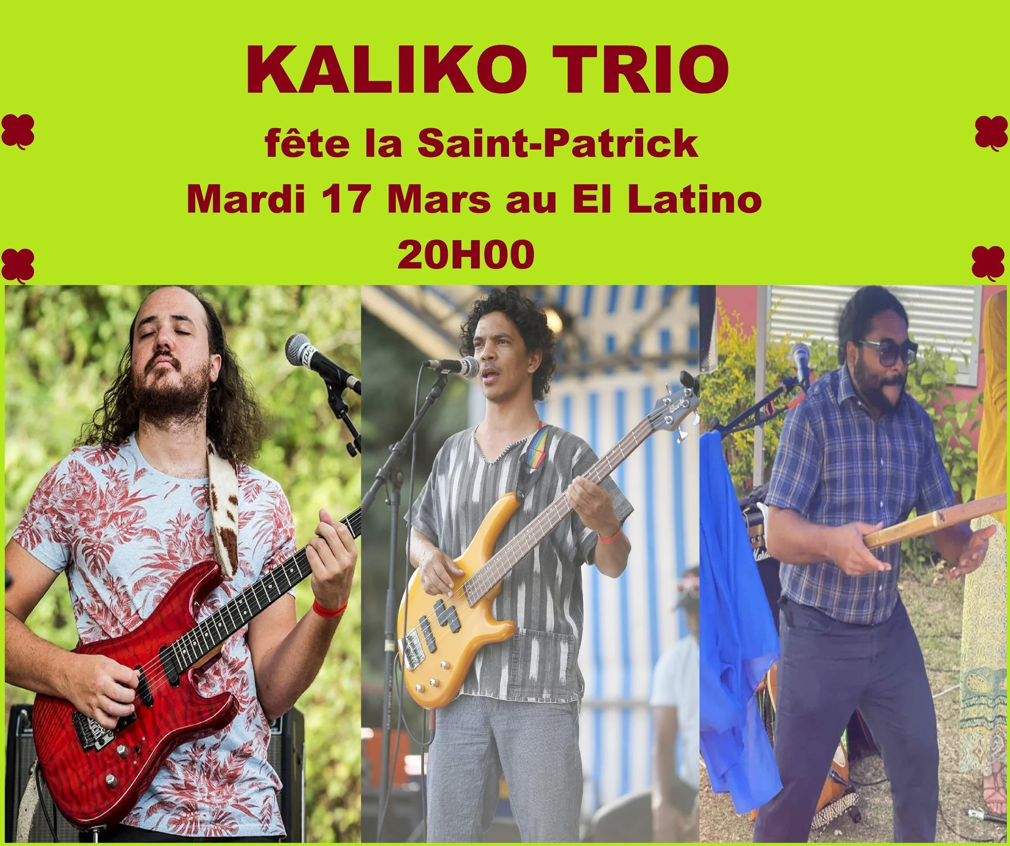 SEG PUNK MALOYA ELECTRIQUE / KALIKO FÊTE LA SAINT PATRICK (GRATUIT)