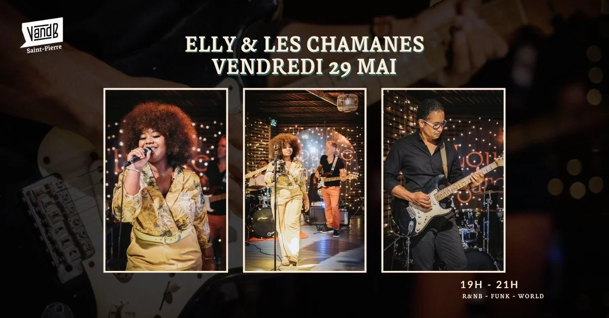 REPRISES / ELLY ET LES CHAMANES (GRATUIT)