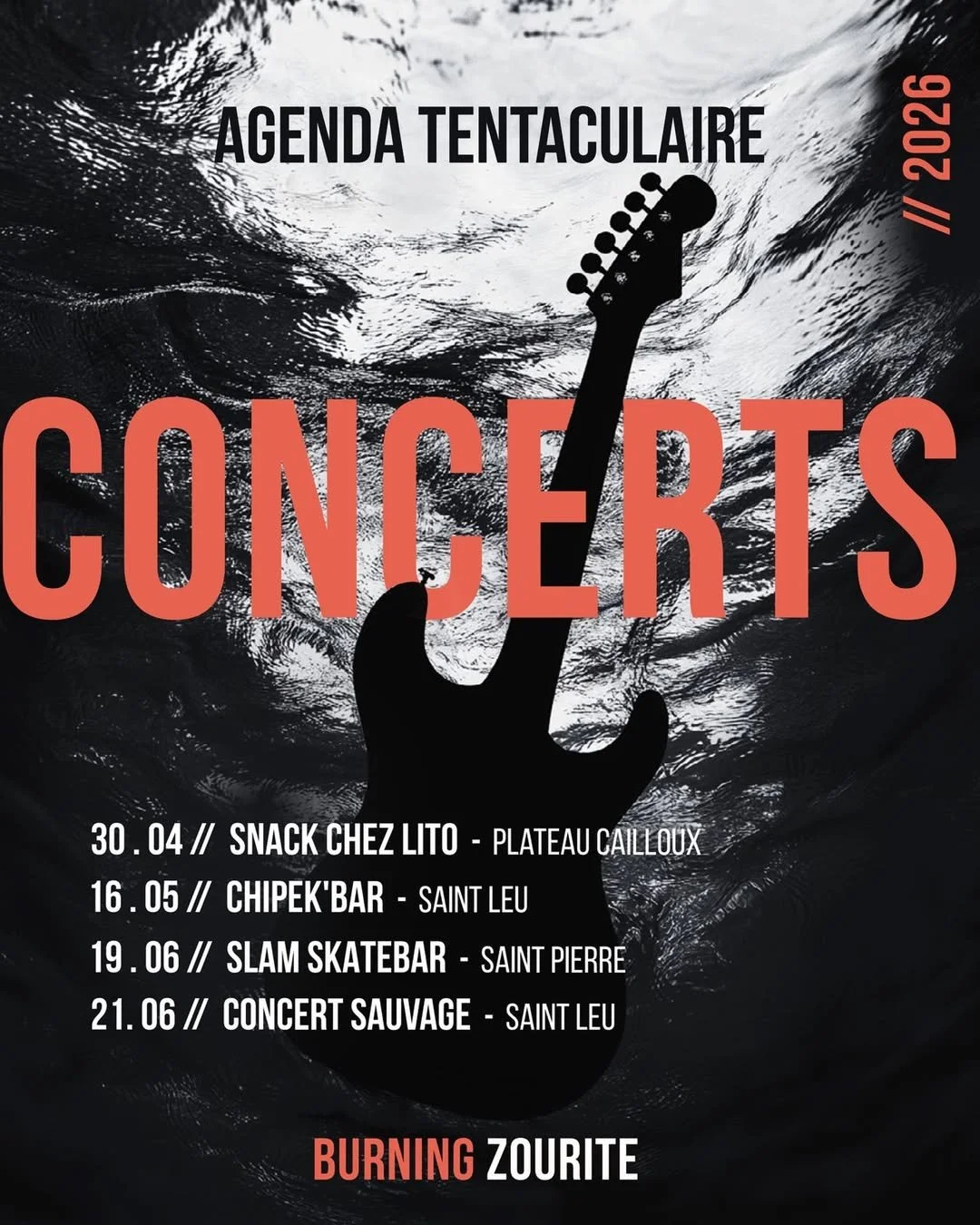 ROCK / BURNING ZOURITE (PRIX LIBRE)