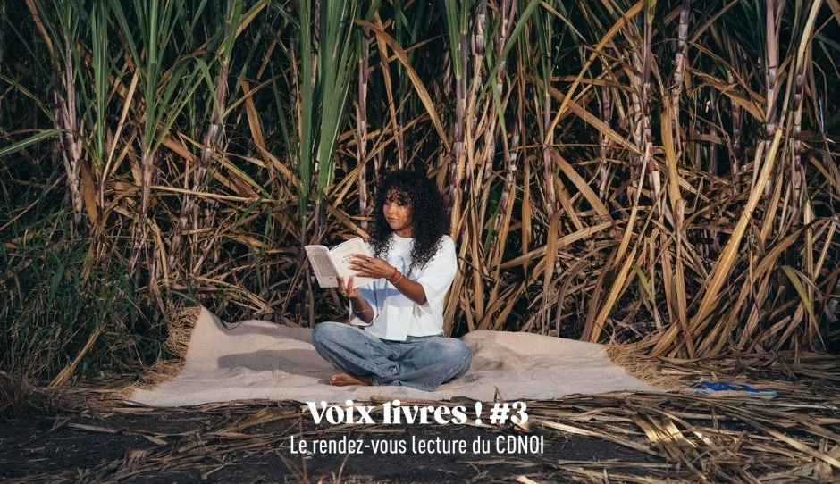LE RENDEZ-VOUS LECTURE DU CDNOI / VOIX LIVRES ! #3 (5€)