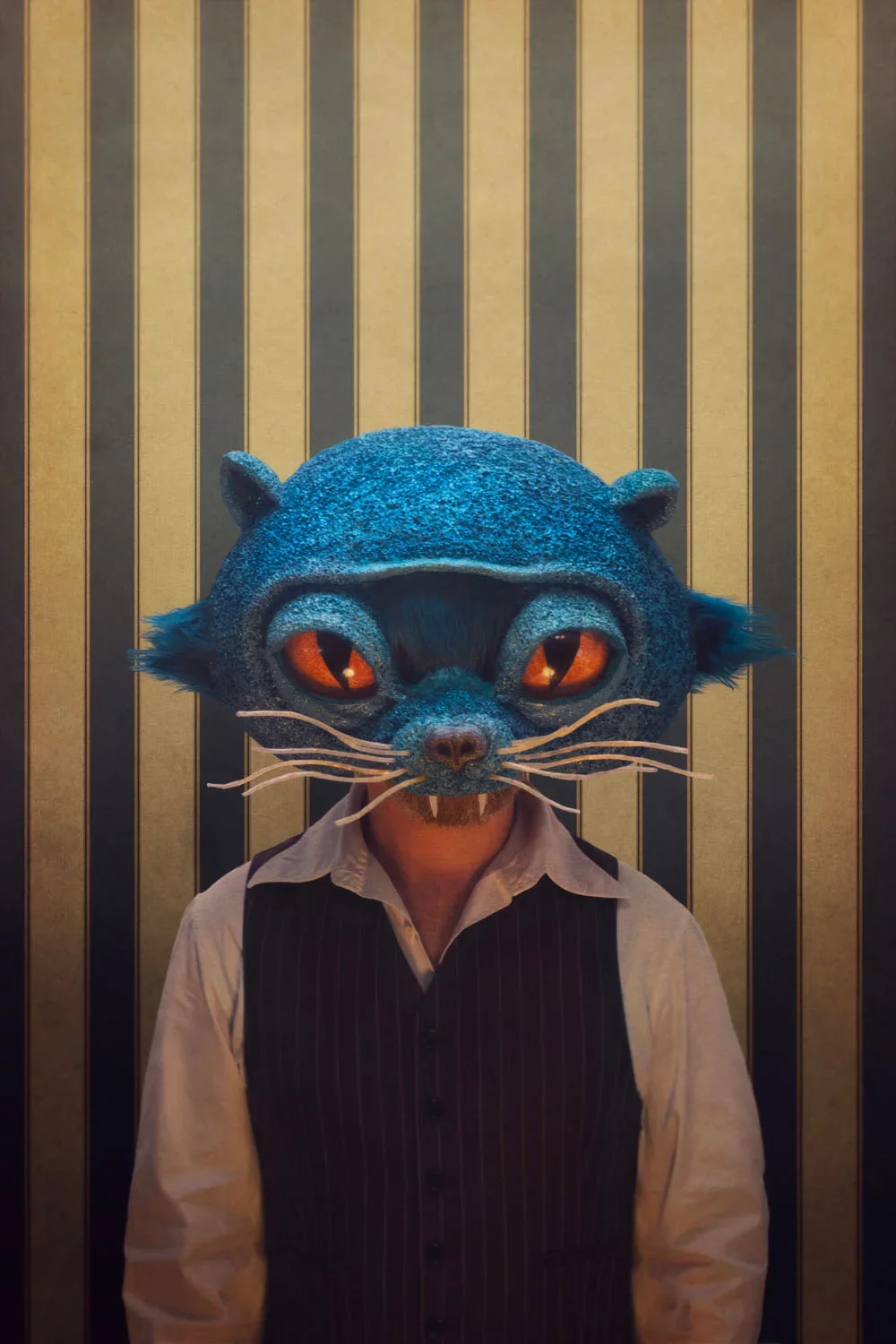 LES FRANCOFOLIES DE LA RÉUNION / MATHIAS MALZIEU / L'HOMME QUI ÉCOUTAIT BATTRE LE COEUR DES CHATS (16€)