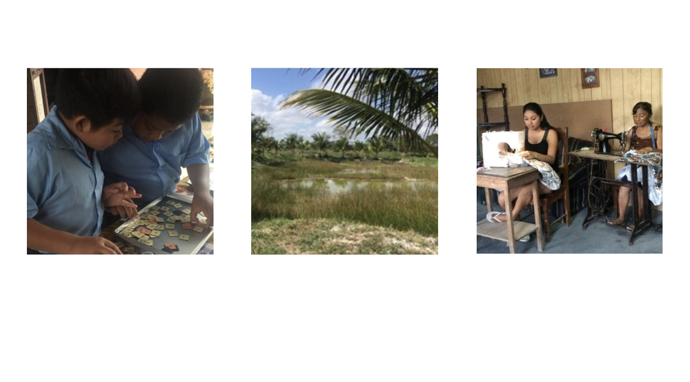 The Belize Project