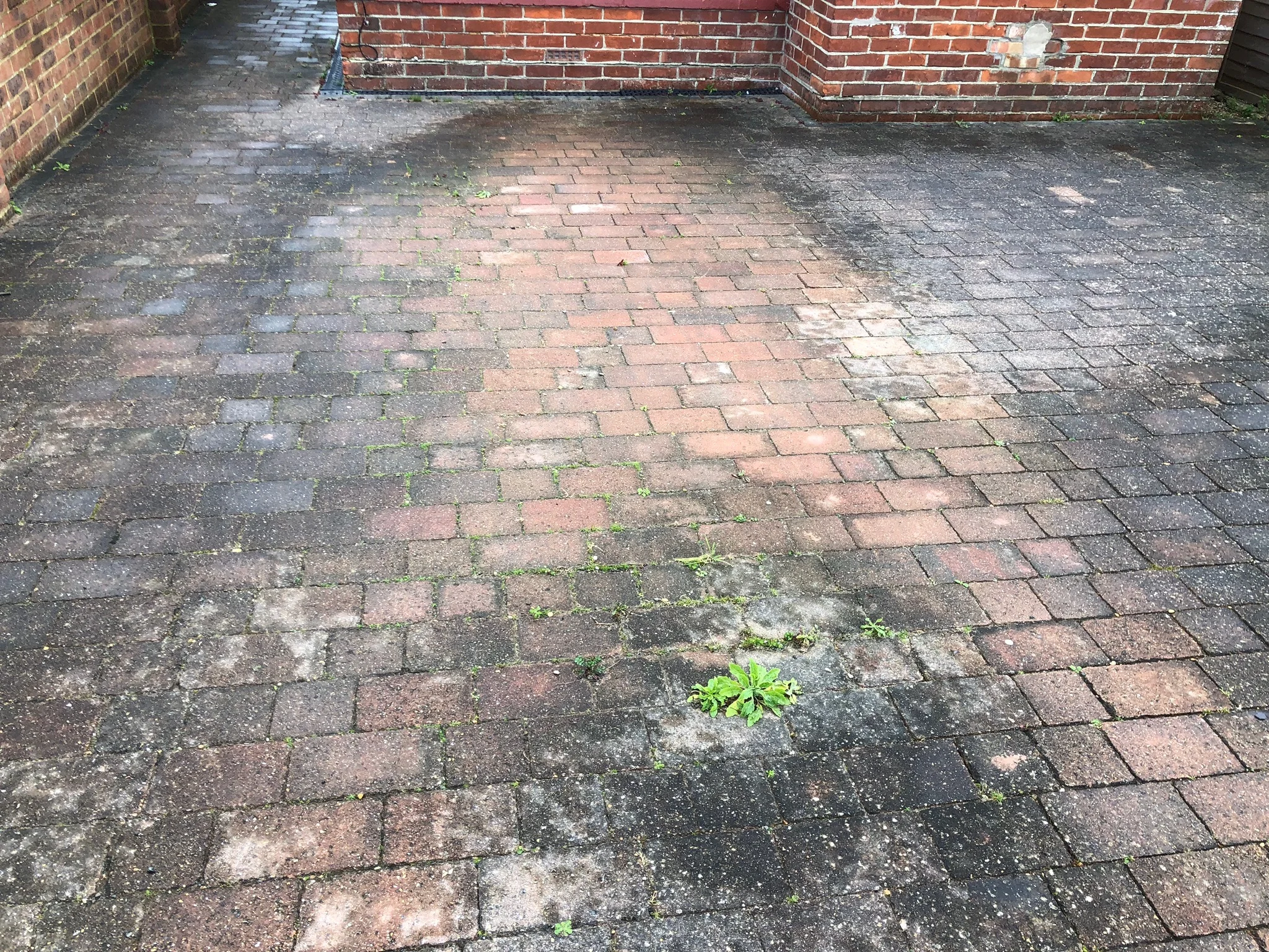 weed removal drive near me