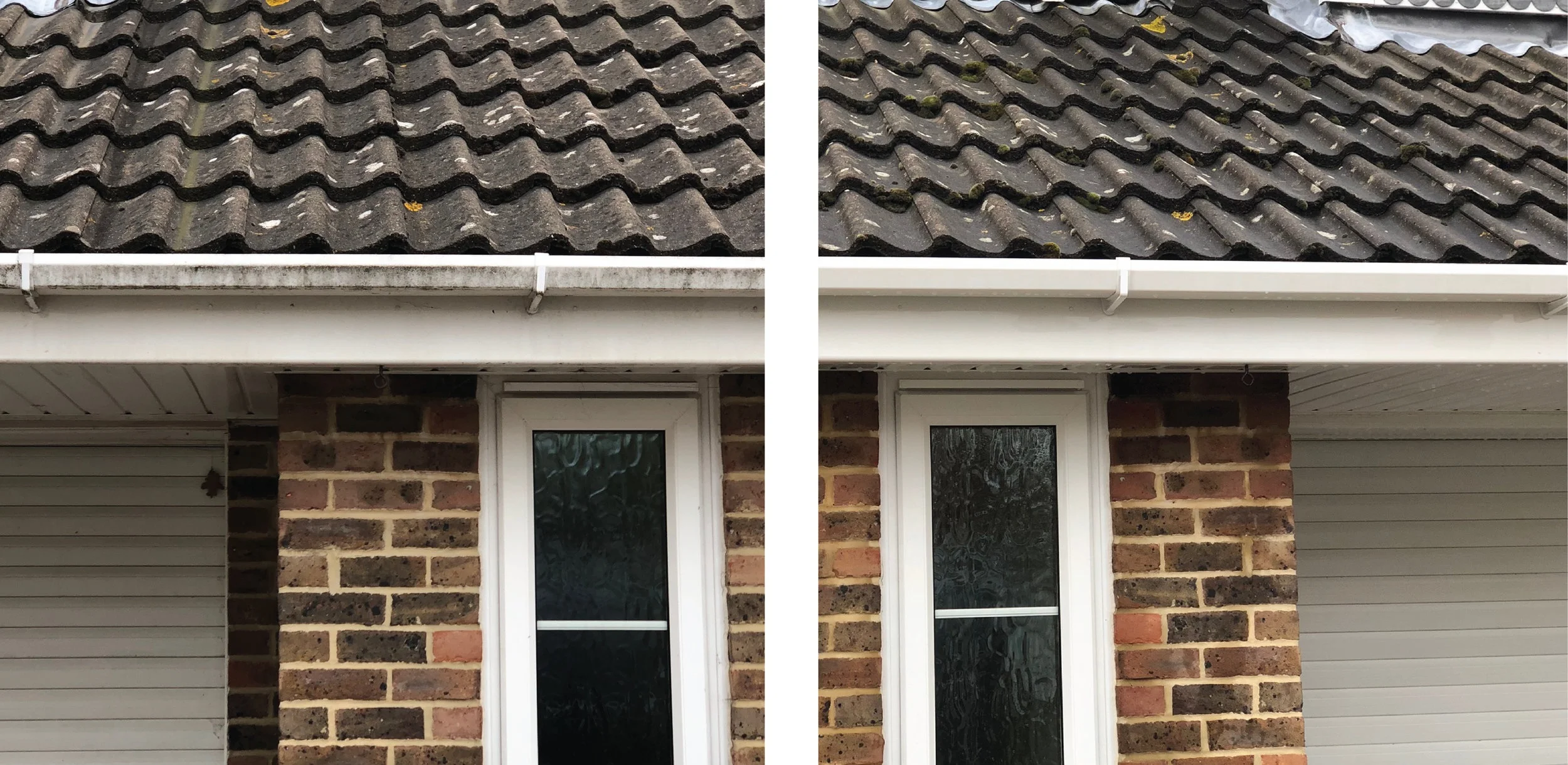 moss removal hampshire