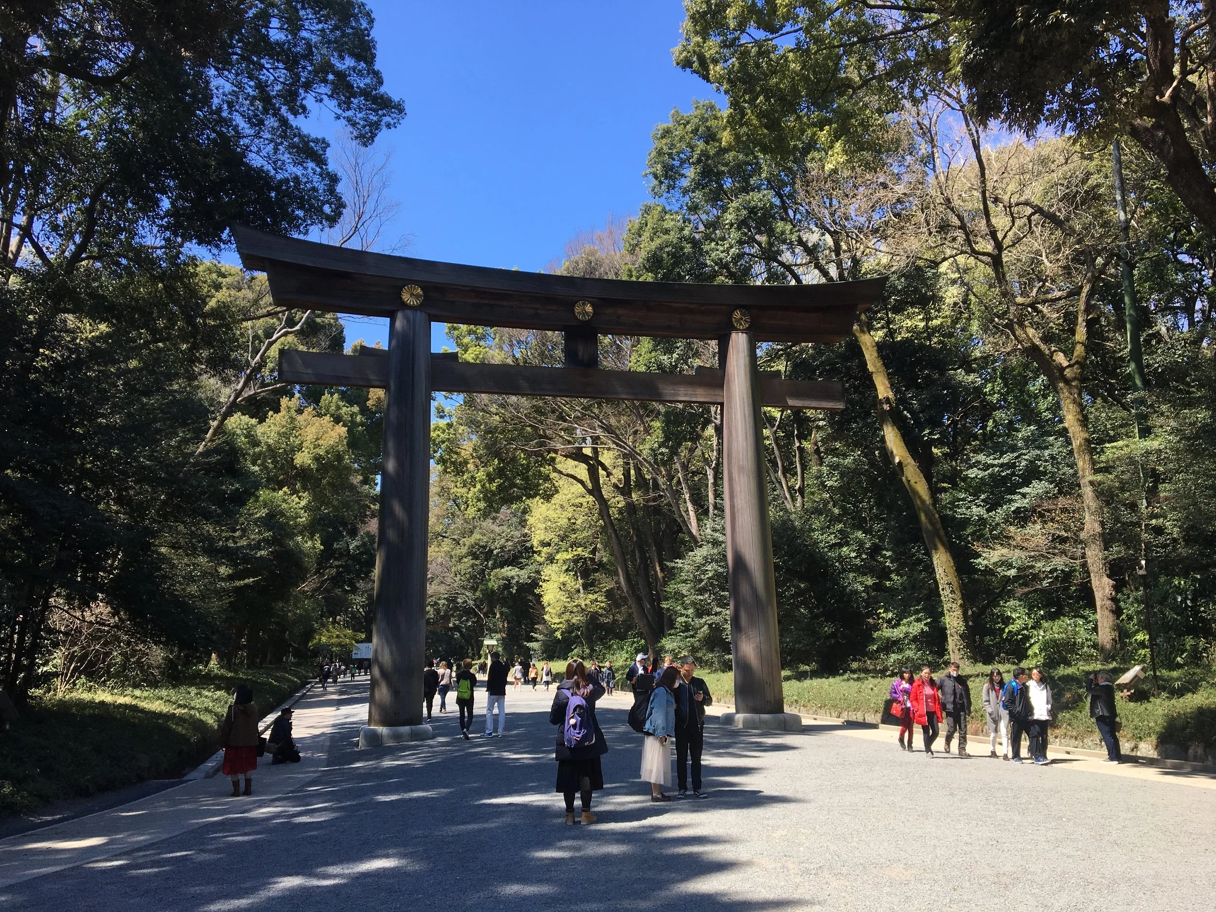 Post 2: Meiji Jingu - Yoyogi Park - Shibuya