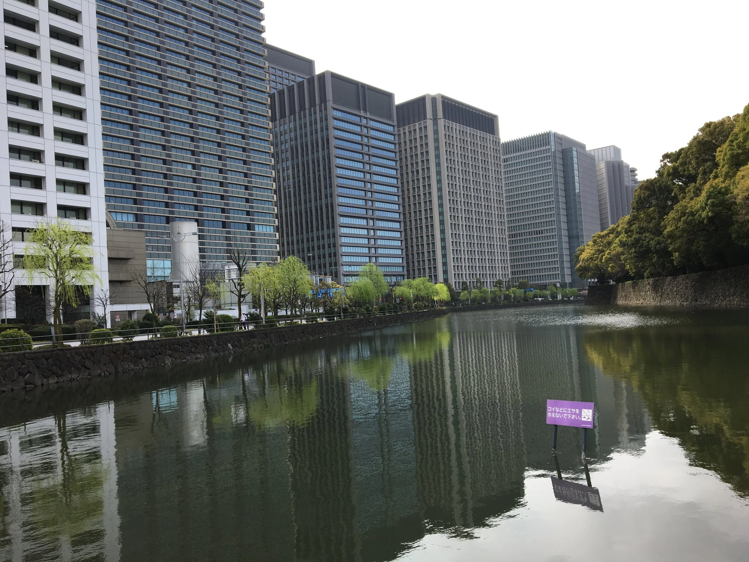 IMG_8896.JPG
