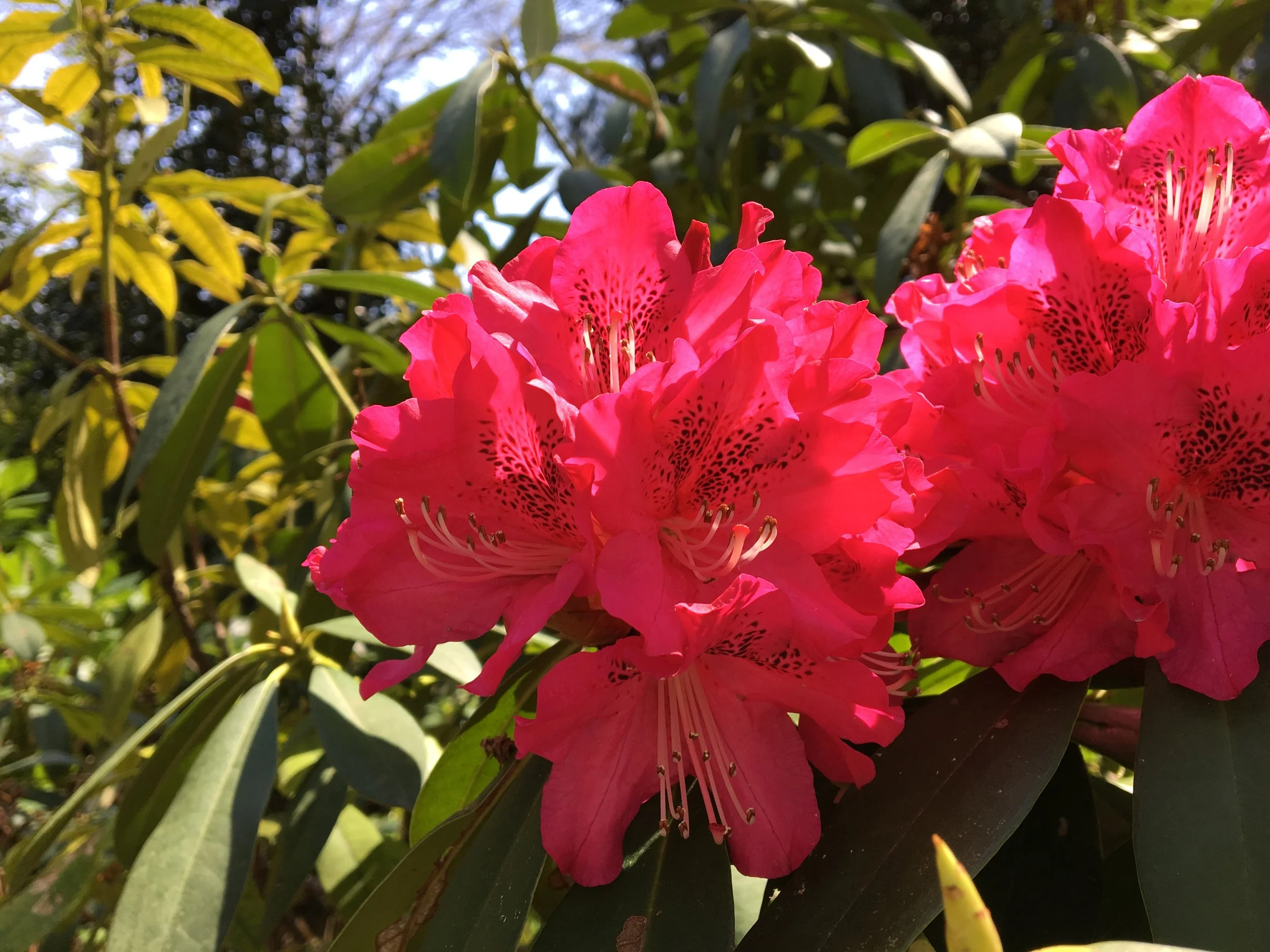 Post 7: Out with an ex-coworker