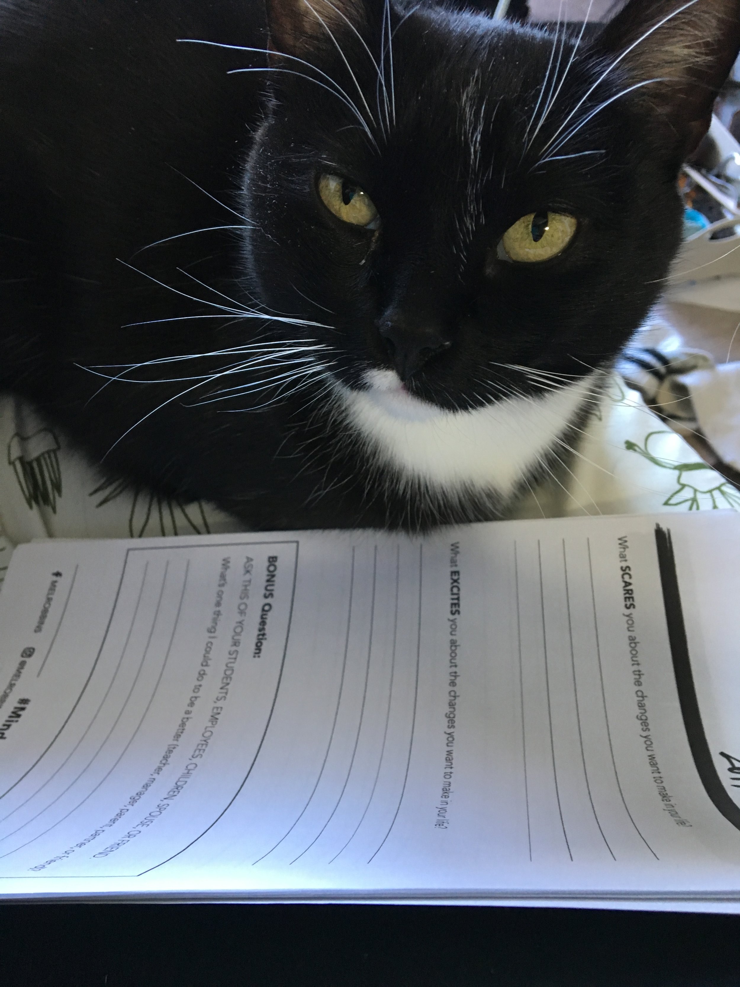 Day 4: 2019 Gauge - What I want to change