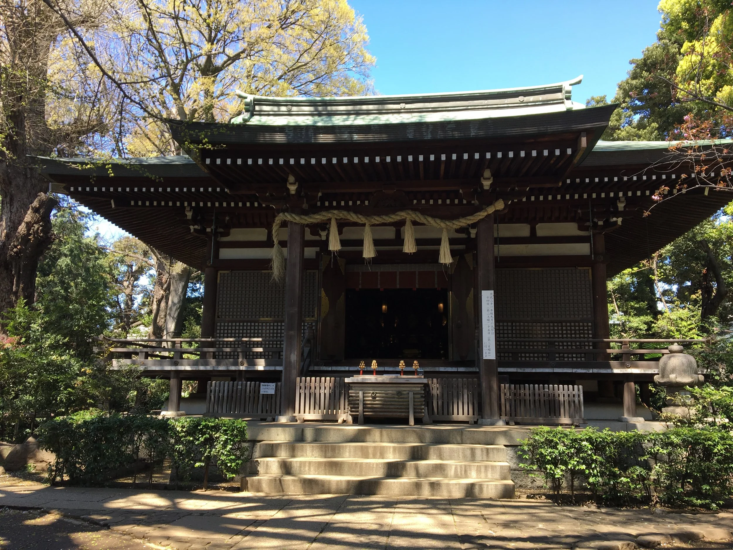 Day 5: 2019 What Am I Going To Do About It?