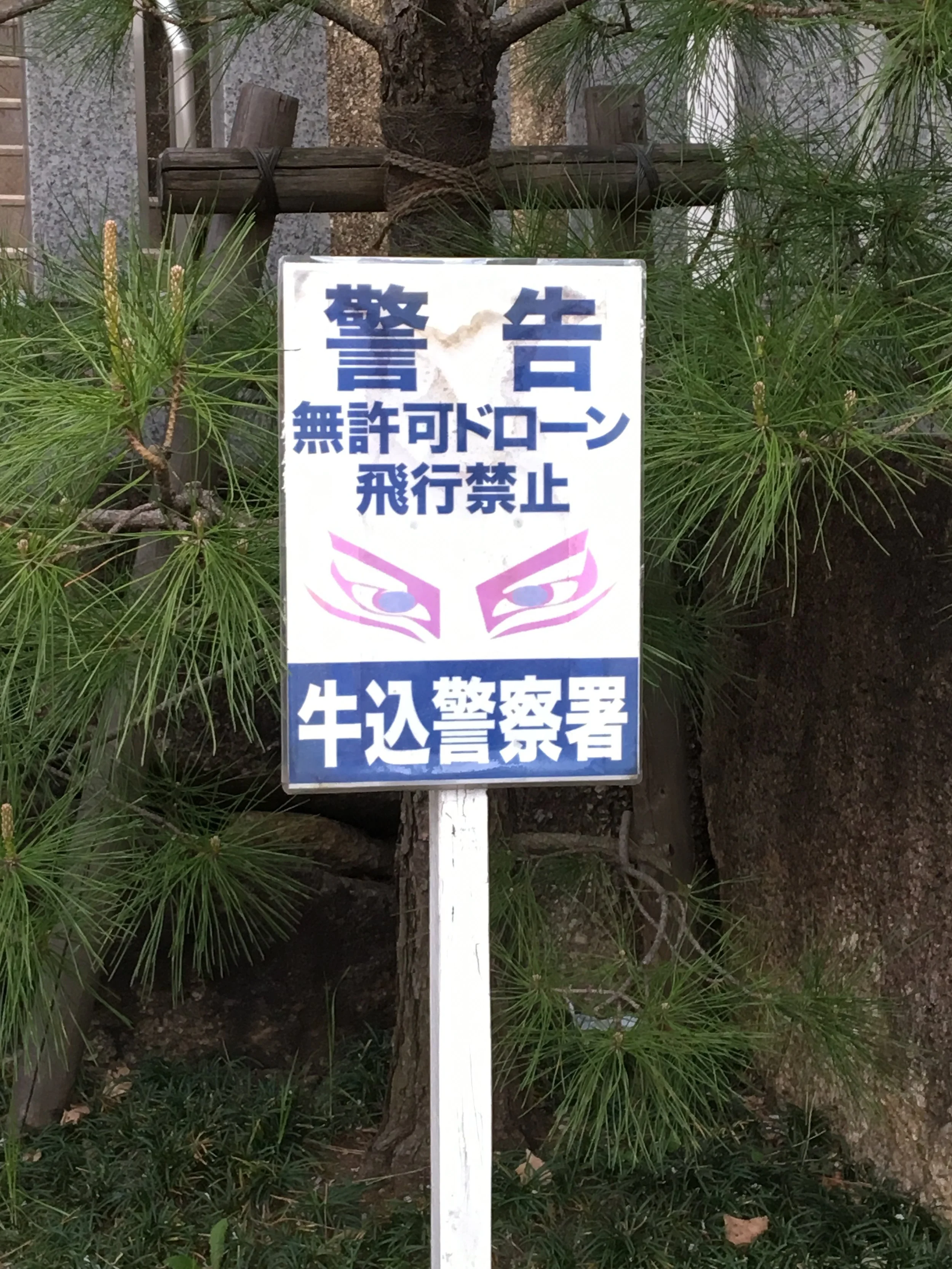 Day 8: Limiting Beliefs