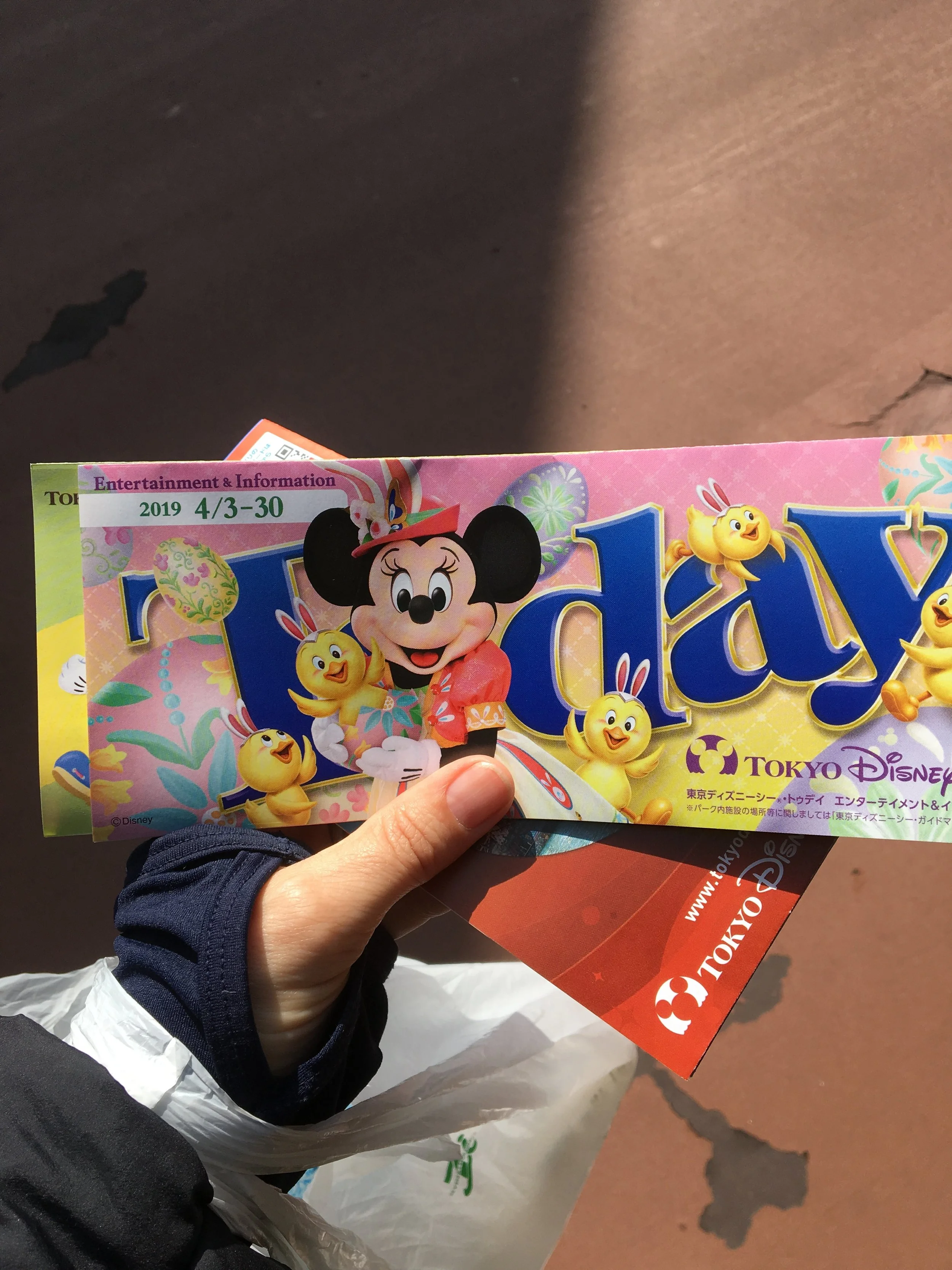 Post 13: Disney Sea